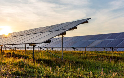 Sostenibilidad ambiental en nuestros procesos de fabricación: descubre nuestro compromiso con el planeta
