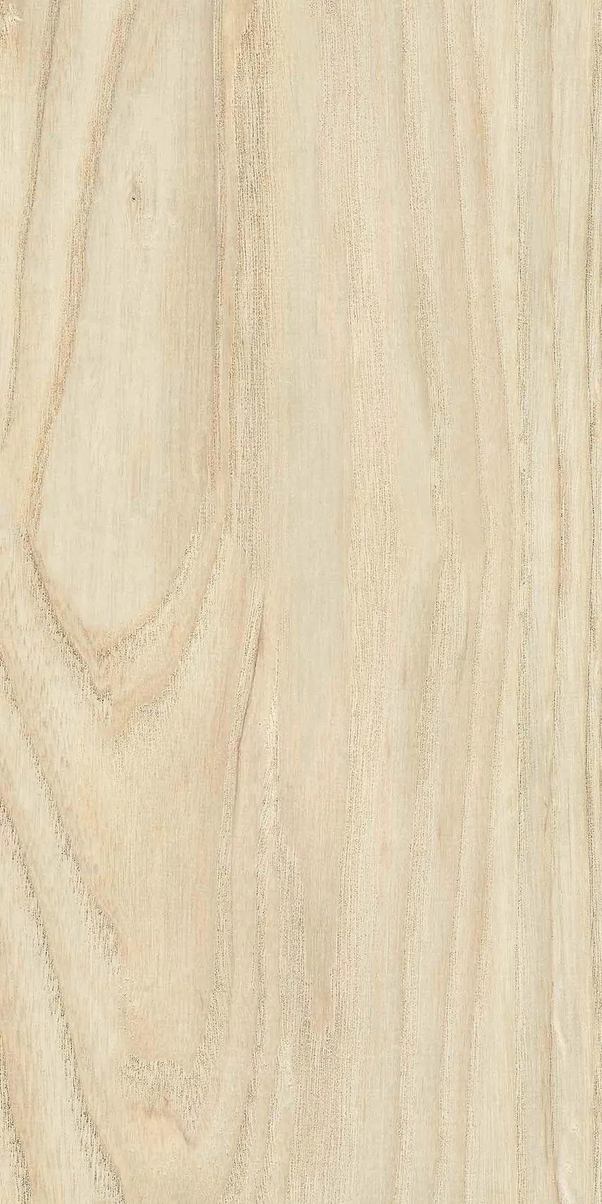 Alder