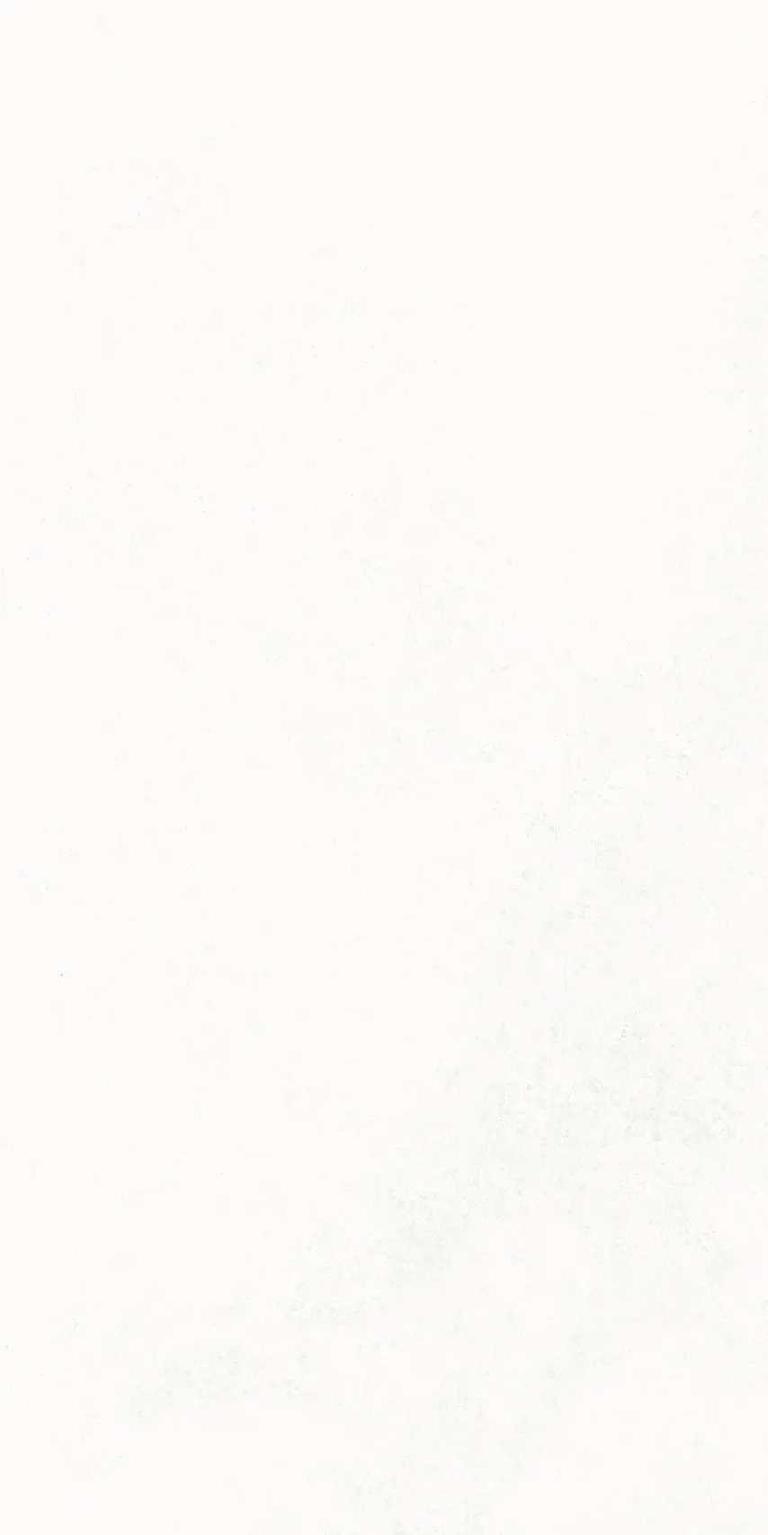 S161