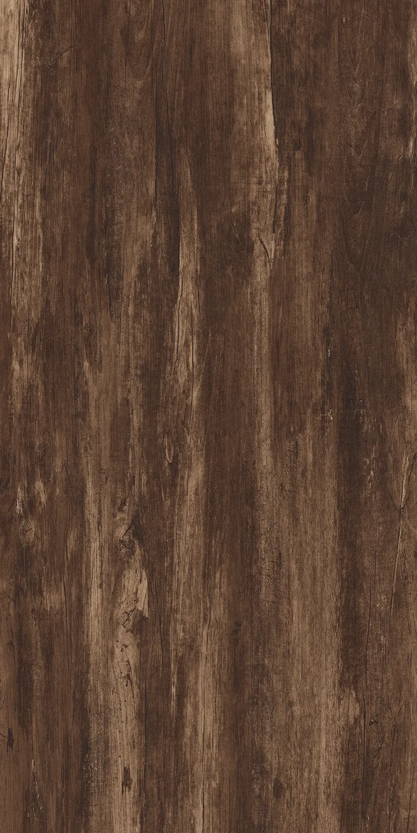 Teak